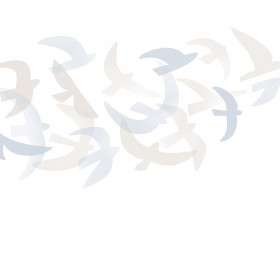 creativille 264706 bird flight 