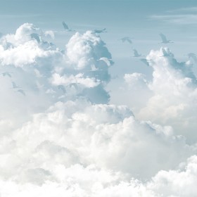 creativille 275222 clouds and birds 