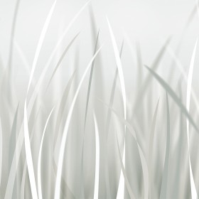 creativille 423807 young grass 