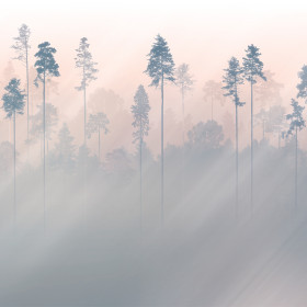 creativille 493502 sunny pine forest 