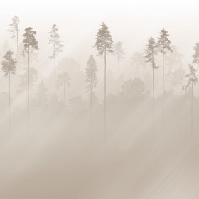 creativille 493506 sunny pine forest 
